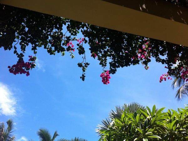 大宝二宝三亚游,三亚三妈游玩攻略