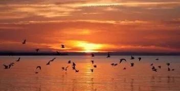 这24首古诗词逢考必过,高中古诗词逢考必出