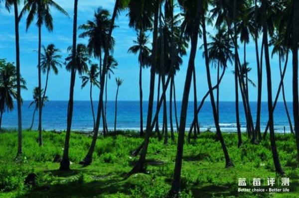蓝莓评测｜全球60个海岛评测，假期选岛就看这一篇（上）