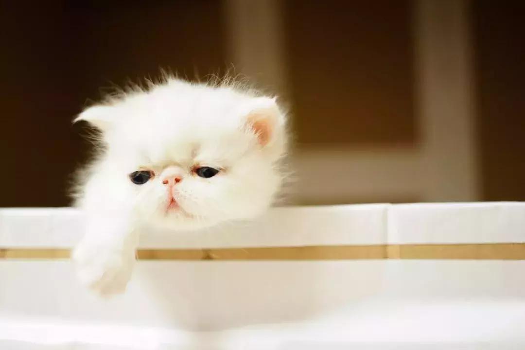 毕业三年的我现在怎么样了,毕业三年我的生活过得像一潭死水