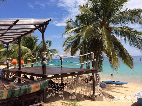 蓝莓评测美国蓝莓,蓝莓评测