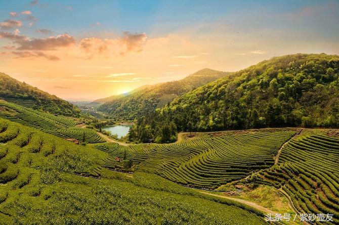 匠意丨茶意生活，茗醉江南！