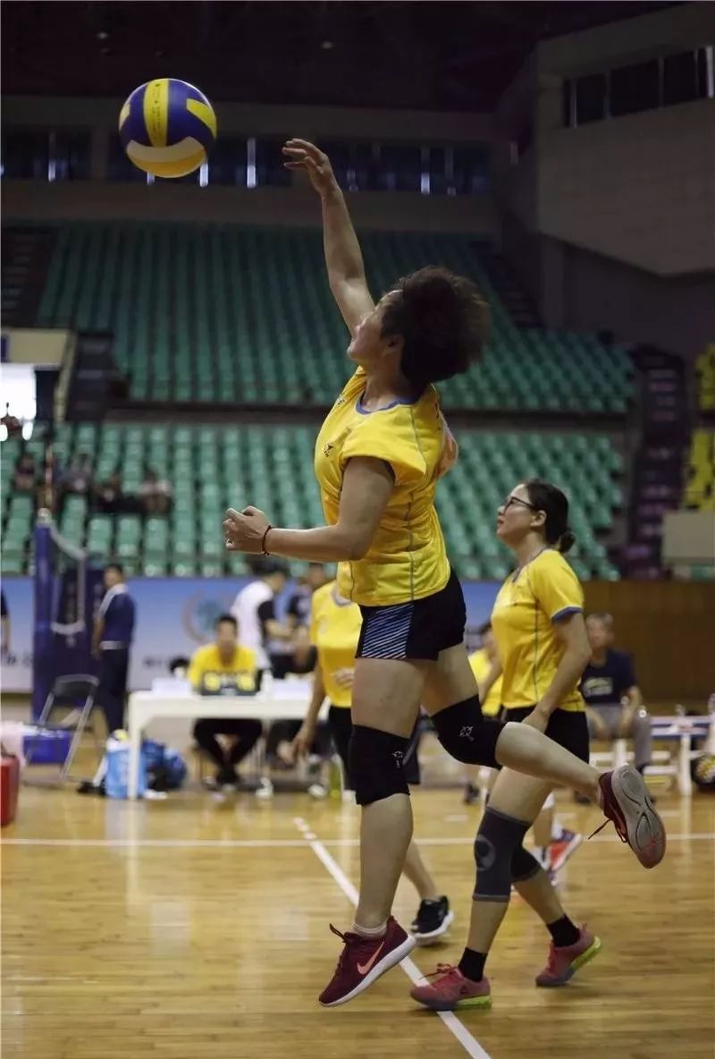 温州有免费的体育公园,温州市市区准备新开的体育篮球馆