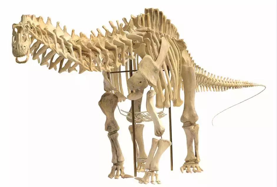 性格最凶猛的雷龙,雷龙凶猛的样子