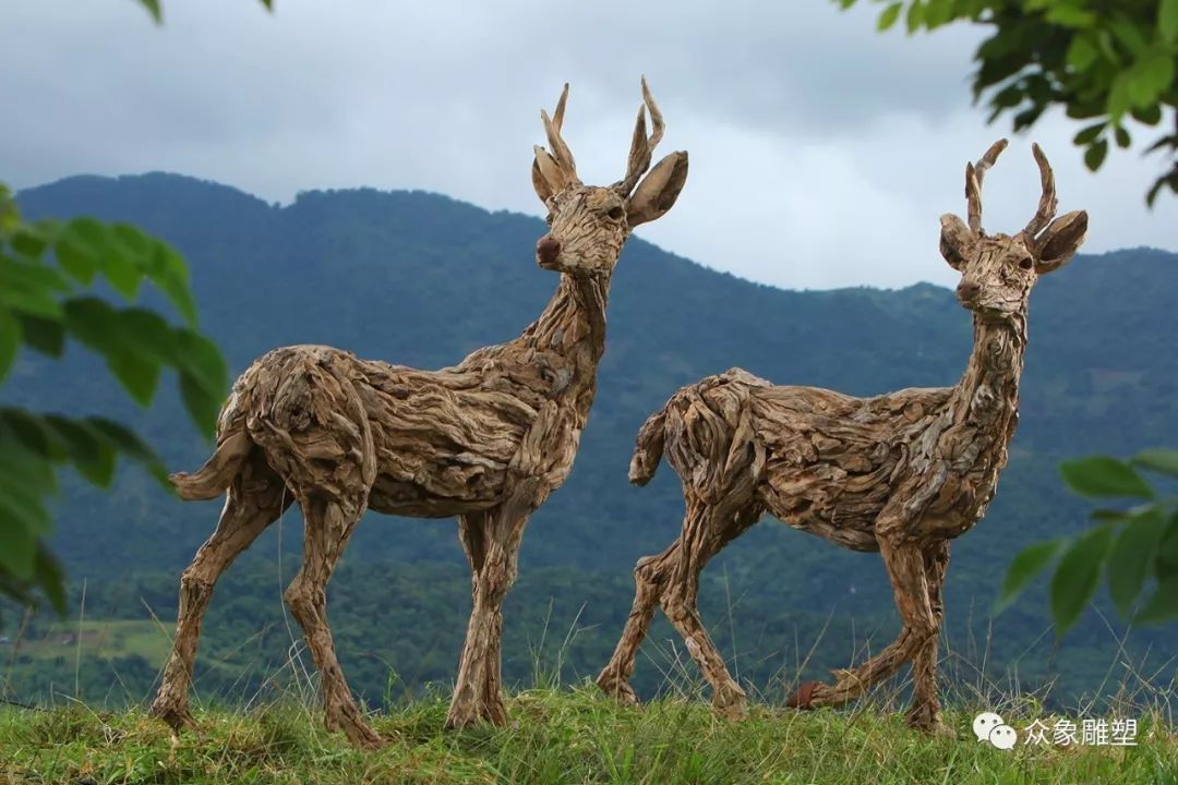 朽木可雕琢,朽木可雕