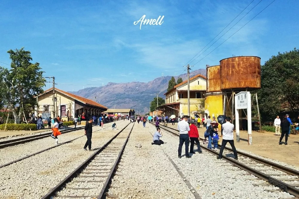 云南奇葩,云南奇葩视频