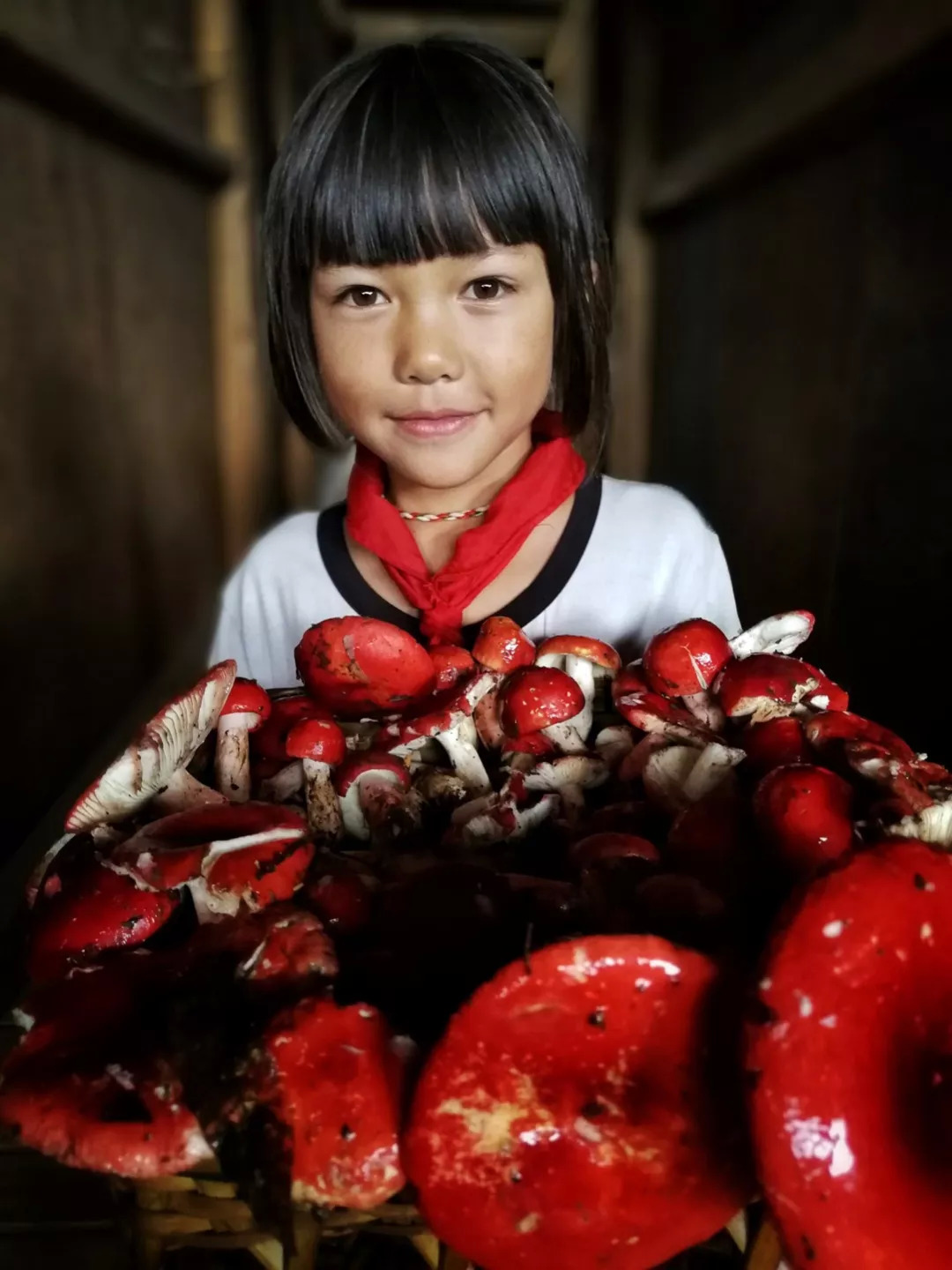 云南奇葩,云南奇葩视频