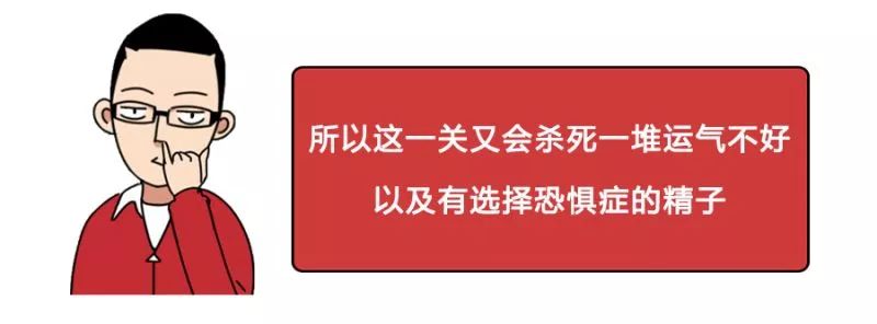 一直以为自己是跑得最快的那颗精子，原来并不是……