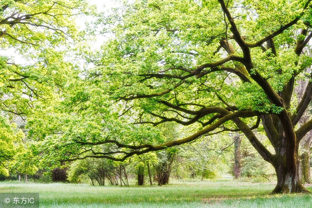脸皮薄有什么好办法,脸皮太厚怎么办怎么让脸皮变薄