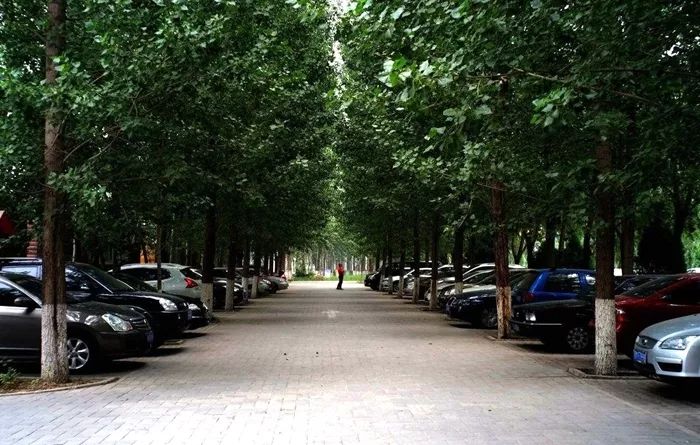 防爆胎到底值不值得买,防爆胎的秘密和方法