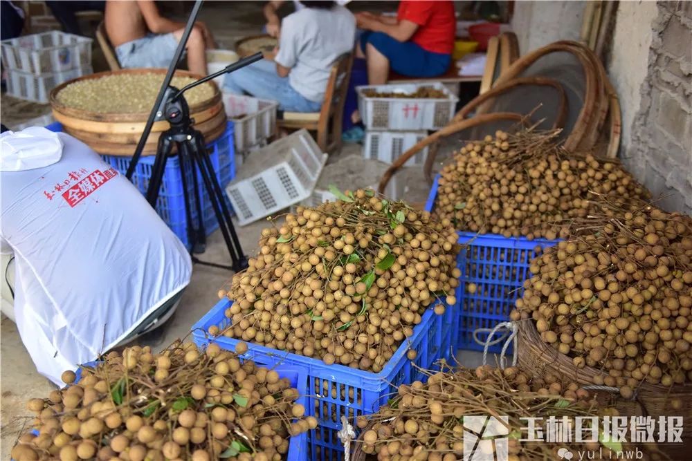 鐜夋灄鍦扮悊鏍囧織璇佹槑鍟嗘爣,鐜夋灄棣栦欢鍦扮悊鏍囧織璇佹槑鍟嗘爣