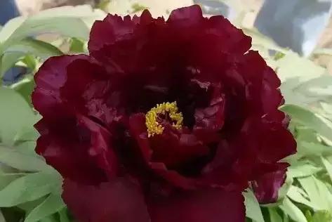 8.8发财日的祝福,8月18日发财日早安祝福图片