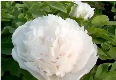 8.8发财日的祝福,8月18日发财日早安祝福图片