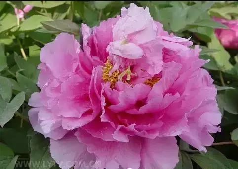 8.8发财日的祝福,8月18日发财日早安祝福图片