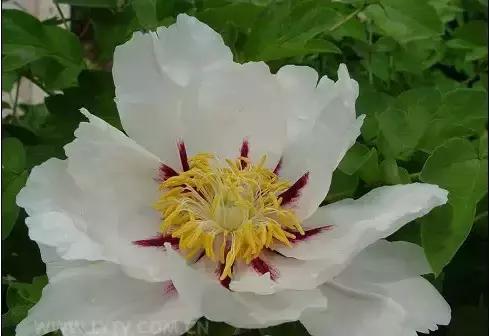 8.8发财日的祝福,8月18日发财日早安祝福图片