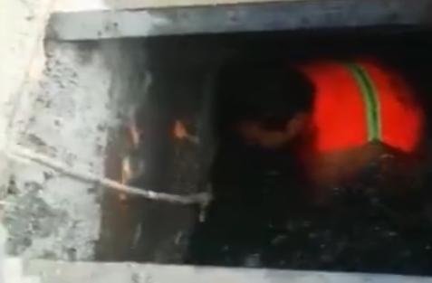 7月“气质榜”前三：商丘南阳周口；郑州女子刚怀孕就被炒了鱿鱼