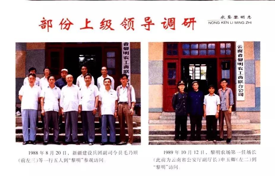 普洱茶黎明茶厂的分厂,黎明茶厂八角亭普洱茶专卖店