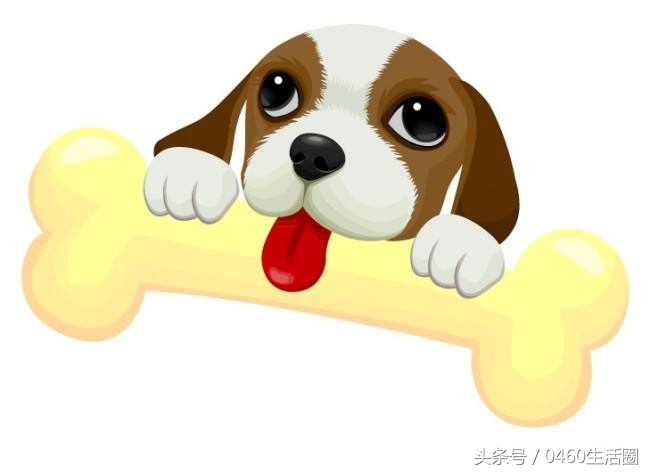 十二生肖歇后语大全及答案这份超级全！收藏好，留给孩子学习用