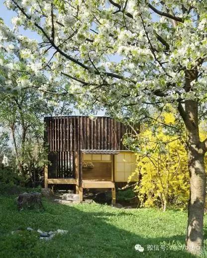 茶空间设计顶级作品案例,大师级茶空间效果图