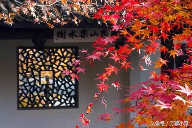 林语堂悠闲生活小院,林语堂的艺术与快乐的秘诀