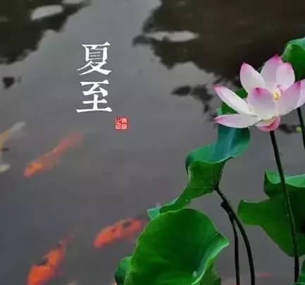 农事的儿歌大全,农事歌大全