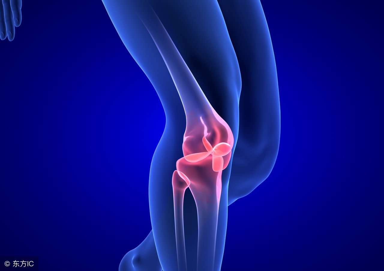 左脚膝关节内侧疼痛是什么原因,膝关节内侧疼痛活动一会就不疼了