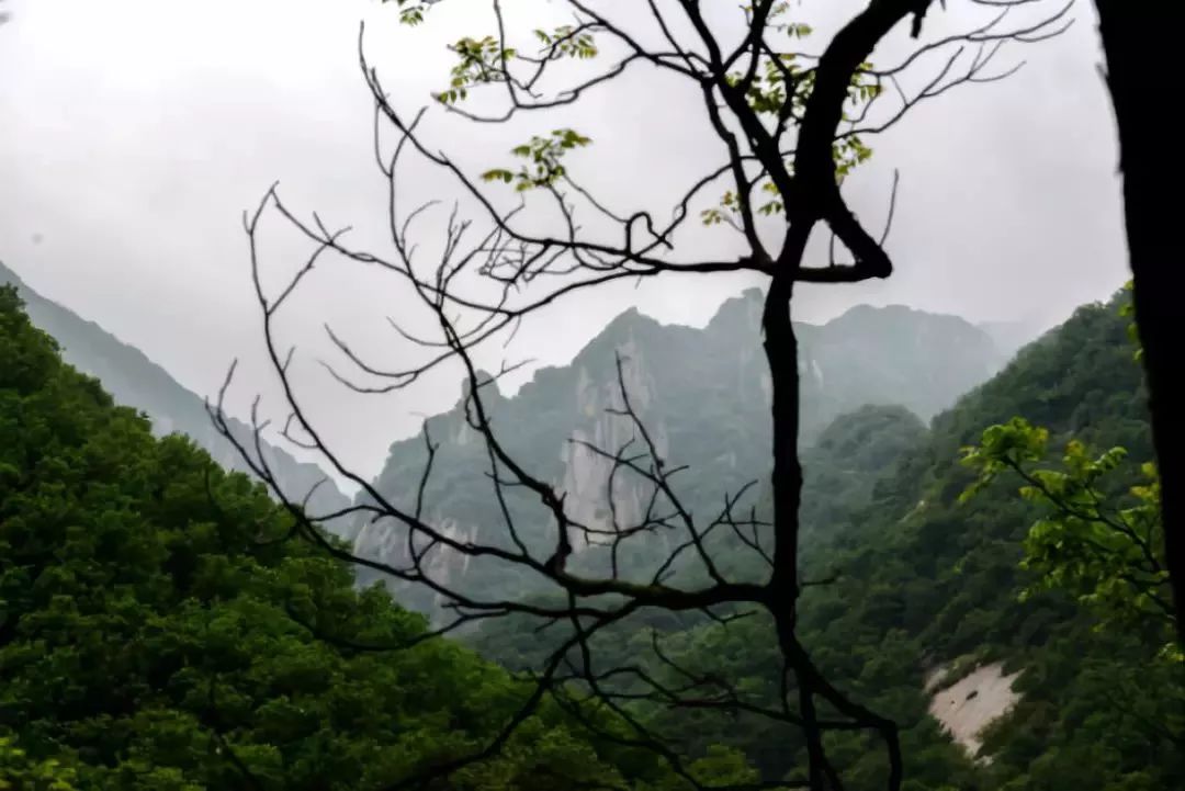 神灵寨风景区夏天好玩吗,神灵寨风景区适合夏天玩吗