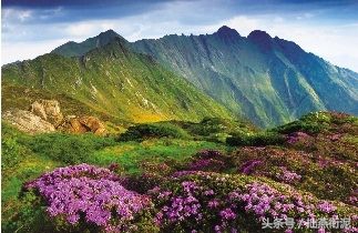 高利贷骚扰你，千万不要慌！