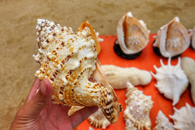 日照,日照有什么好玩的地方