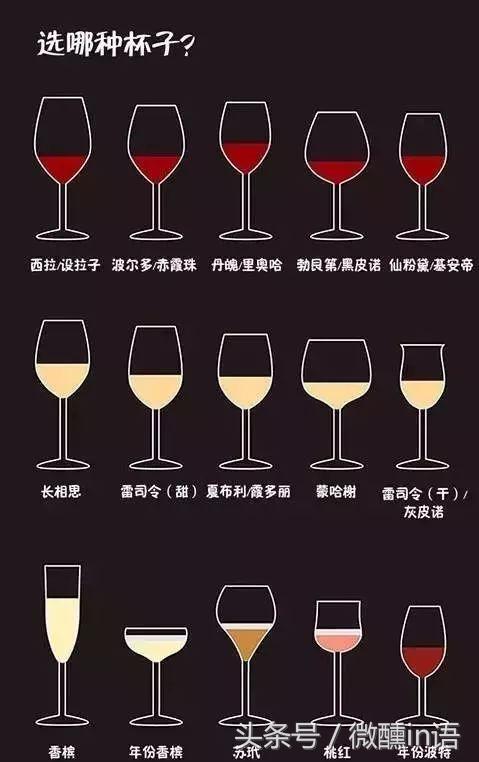 红酒知识大全短视频,红酒知识视频全集