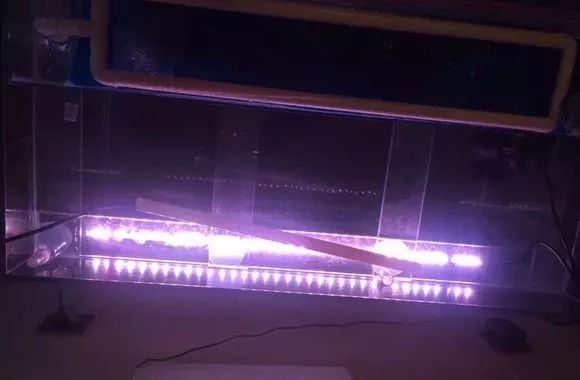 冲动购物一时爽,冲动购物的感悟