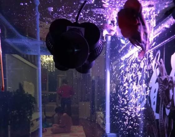 冲动购物一时爽,冲动购物的感悟