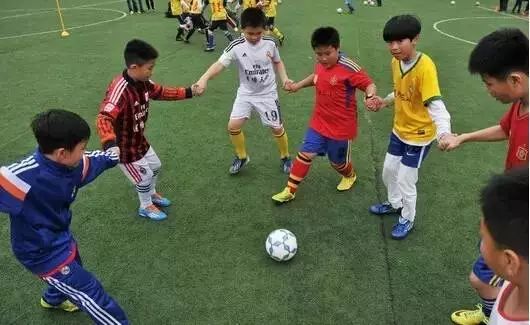 厉害了藁城,厉害了石家庄市高新区