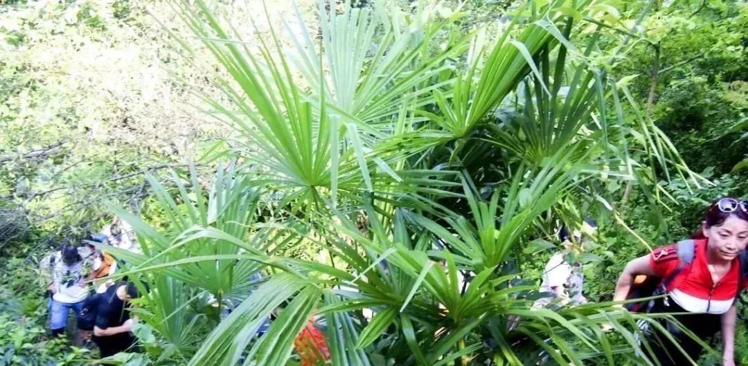 德阳周边玩水避暑民宿,德阳附近哪里有凉快又好玩的地方