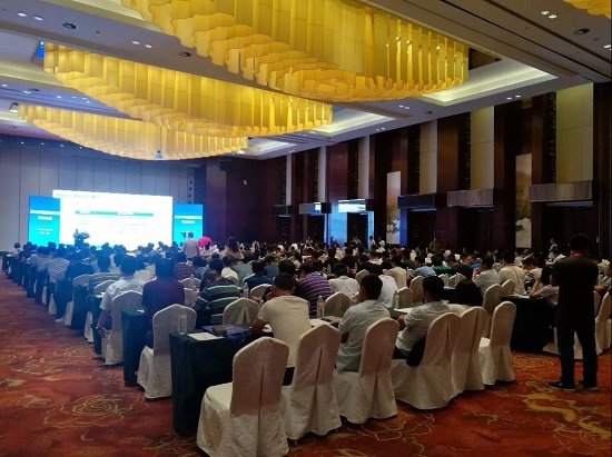 金联创最新信息,金联创快讯