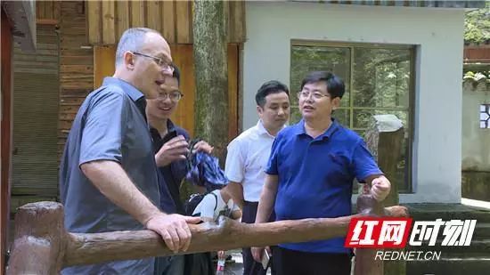 「看区县」邱初开深入企业督查省环保督察组交办问题整改落实情况/“张家界莓茶”亮相2018红网精准扶贫品推公益行动(更多)