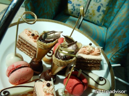 冲浪潜水跳伞旅行,冲浪浮潜看海豚