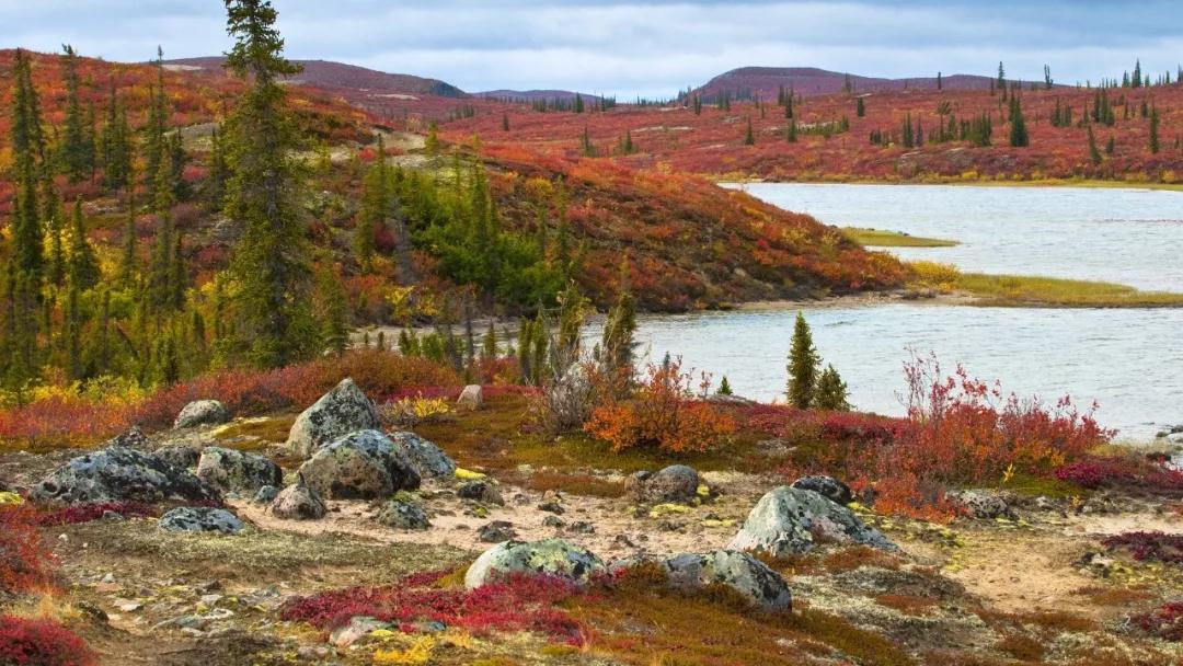 知乎高赞：这是属于地球的奇妙能力歌