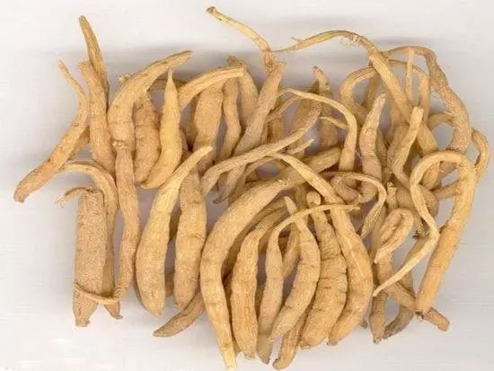 人参丹参党参西洋参的区别,丹参西洋参和党参的功效区别