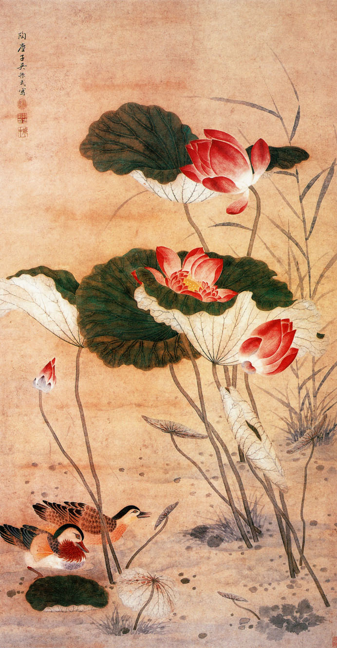 「转」这么美的荷花,千年荷韵