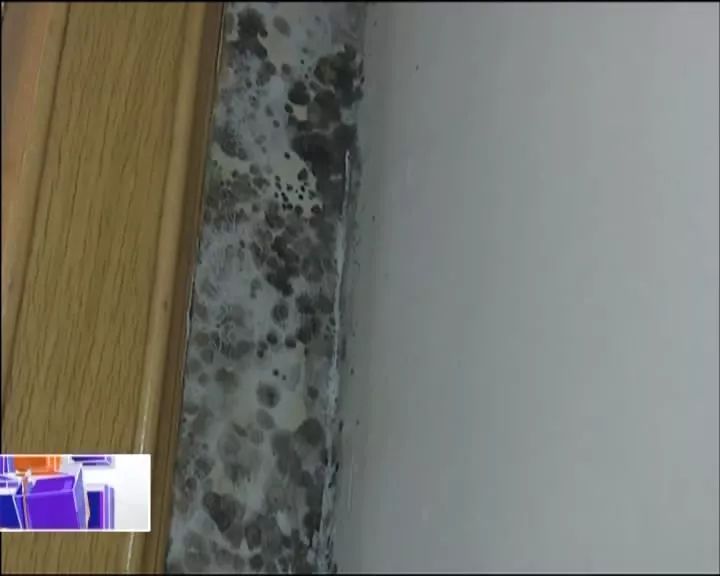 屋里长了白毛是怎么回事,屋里有黑毛是什么原因