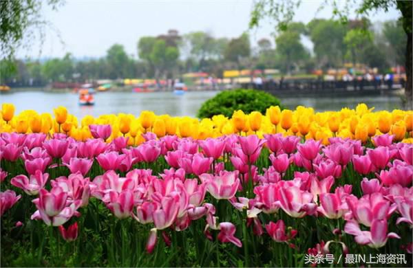 上海地名八级考试，看看你能答到第几级？