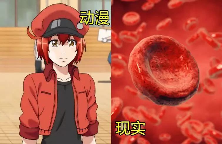 涨姿势动画,涨姿势动漫