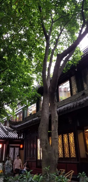 带着爸妈自由行攻略,带父母和孩子成都怎么玩