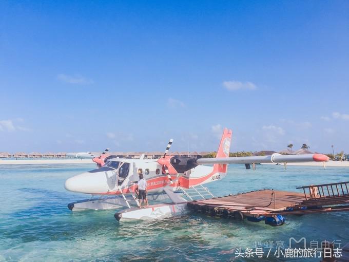马尔代夫游记可可尼岛,马尔代夫可可亚岛旅游攻略