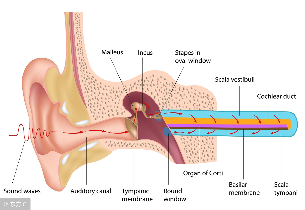 耳鸣怎么办6种方法轻松对付耳鸣,缓解耳鸣症状的4个方法