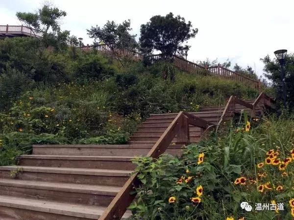 鹿西岛景区图,鹿西岛旅游攻略礁石拍照