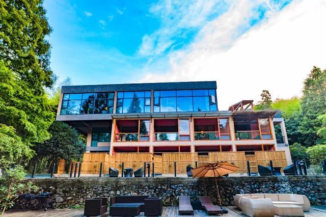 七夕撒狗粮的浪漫惊喜,七夕撒狗粮