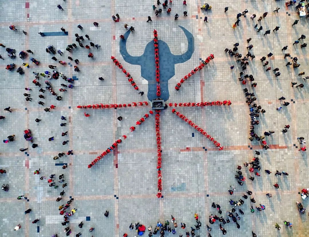 大连出发机票去哪最便宜,大连去往日本机票最便宜