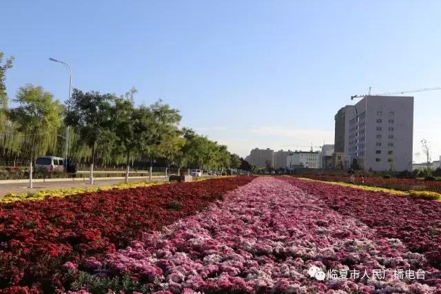 奋进之歌响彻美丽临夏